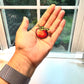 Tennessee Tatar Tot Raccoon Tomato Collectible Enamel Pin