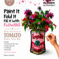 PINK AND GREEN TOMATO FLOWER VASE KIT  Paint-by-Number