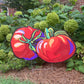 yART Double Wide ‘Mater (aka Tomato) 17”T x 33”W  Yard Sign Durable Colorful