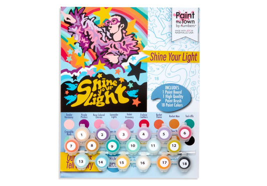 Shine Your Light ~ Paint By Number Kit ~ Inspirational ~ 8”x10” ~ 18 colors